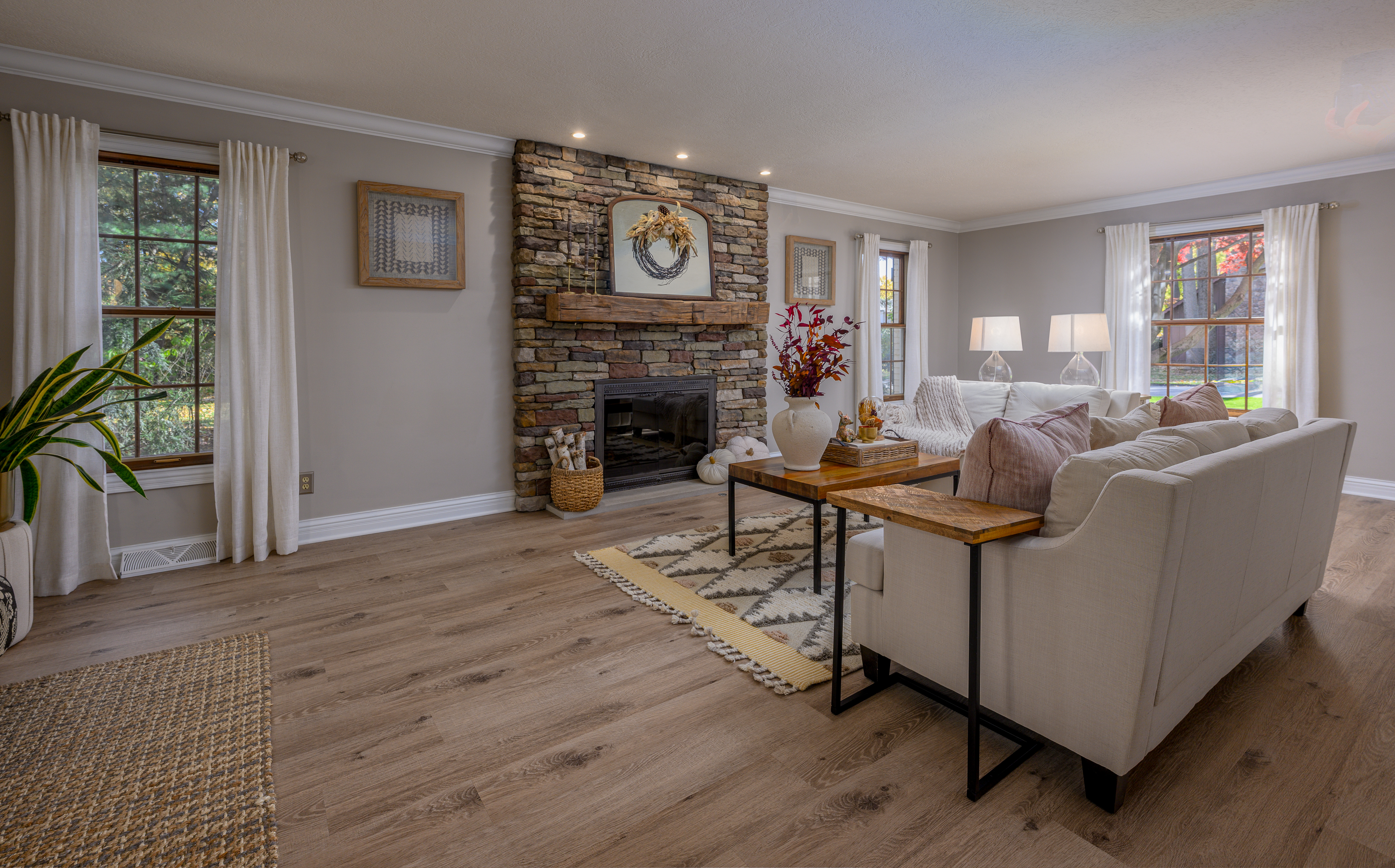 Living Room Fireplace