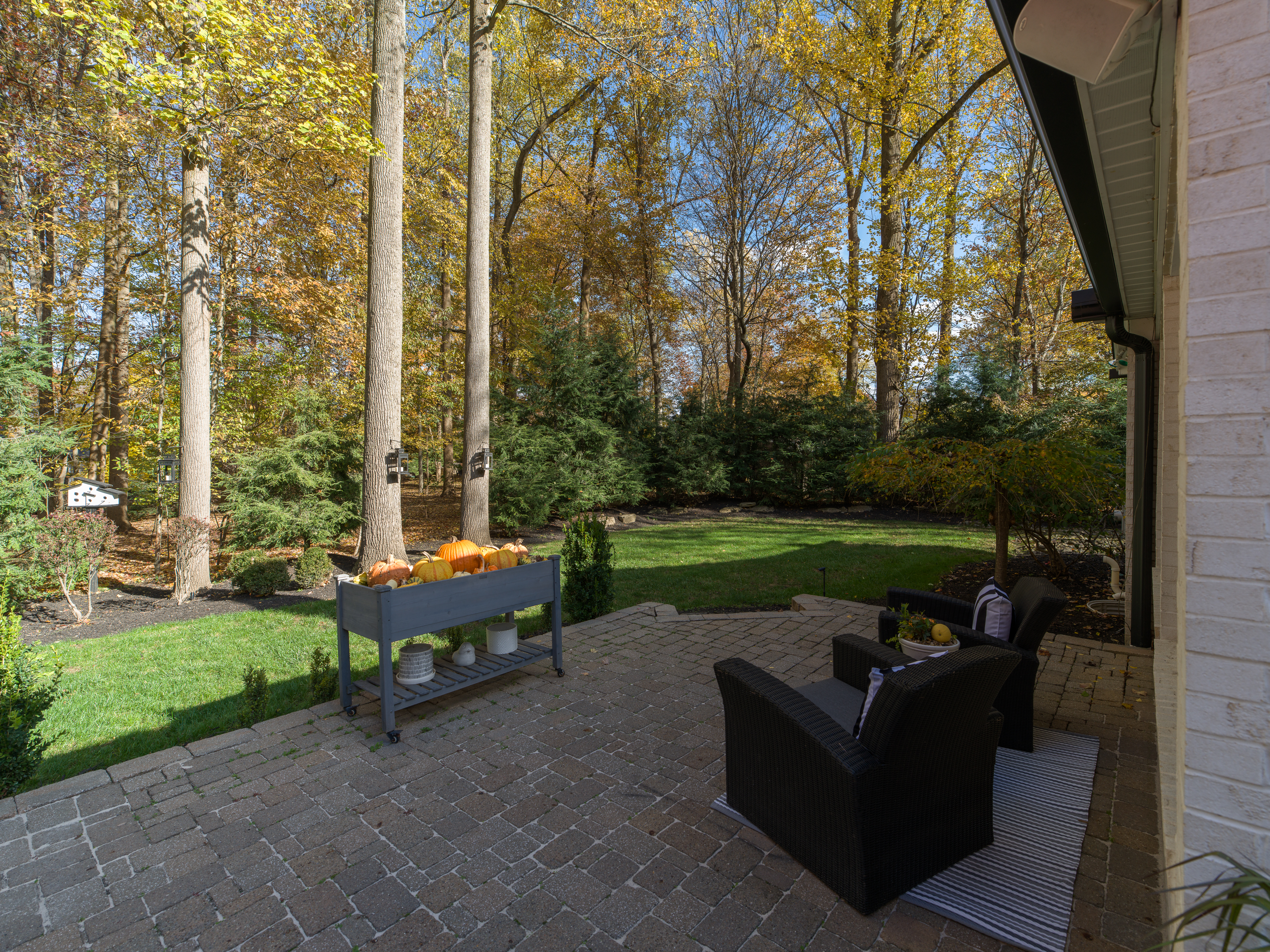 Patio Facing Play Area